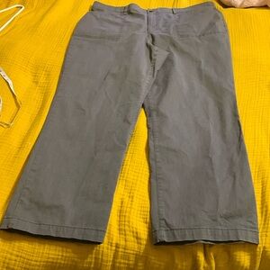 Gloria Vanderbilt  Mona Gray Gray Pants size 18